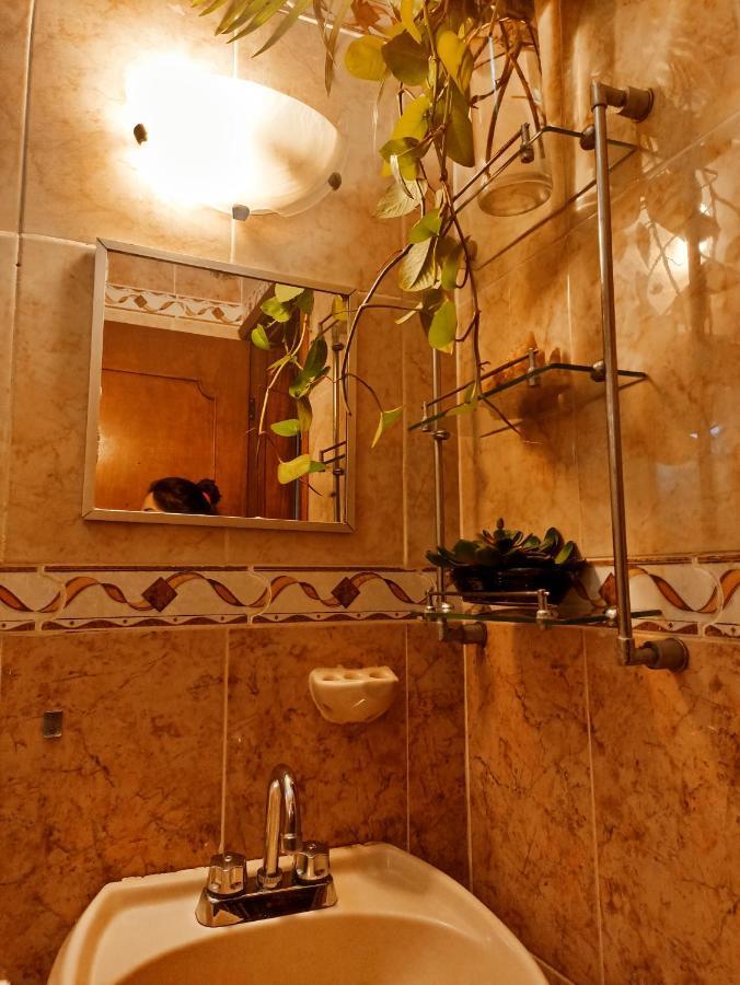 Casa De Los Pajaros - B&B Valladolid  Extérieur photo