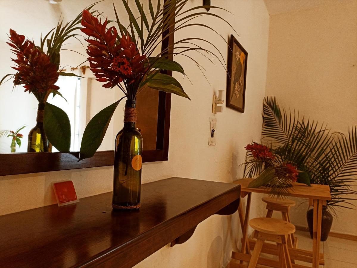 Casa De Los Pajaros - B&B Valladolid  Extérieur photo