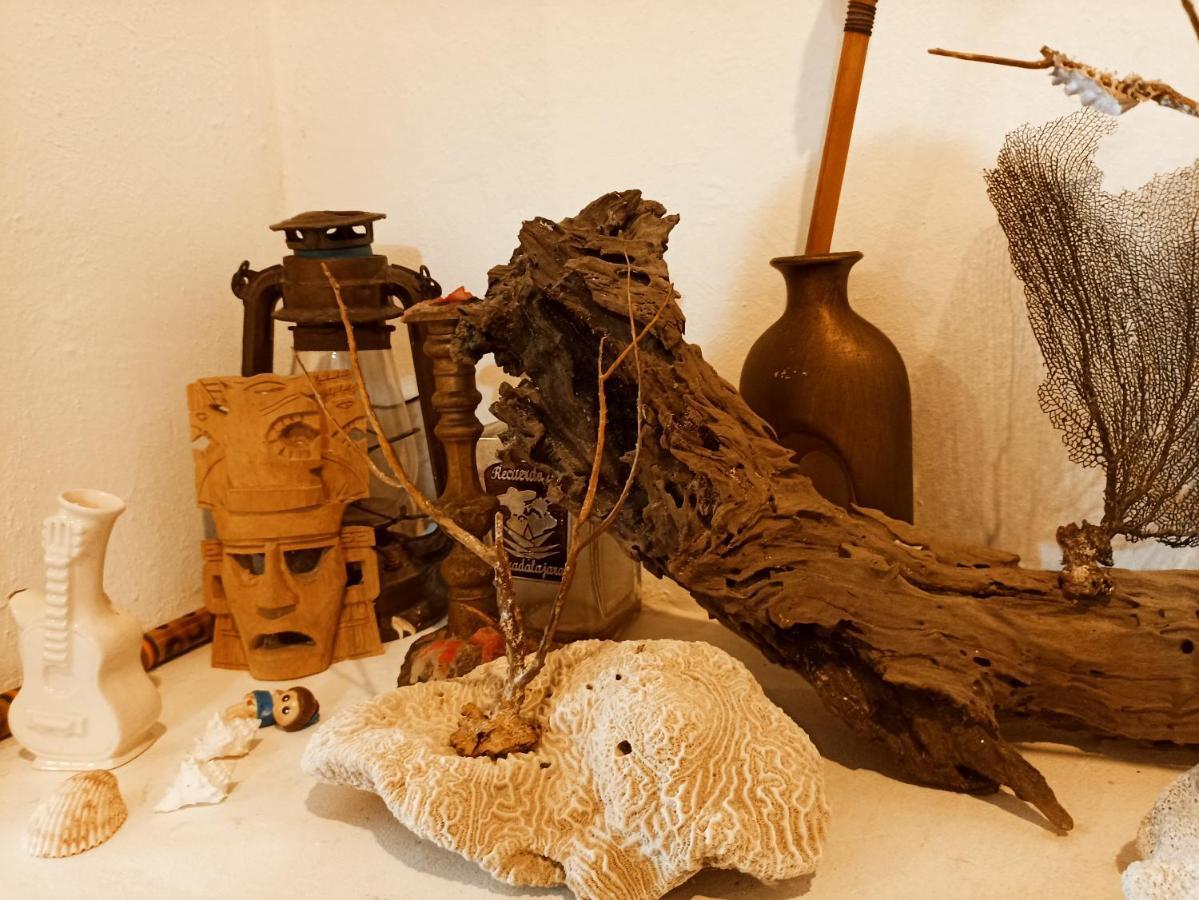 Casa De Los Pajaros - B&B Valladolid  Extérieur photo