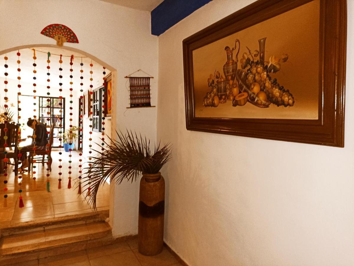 Casa De Los Pajaros - B&B Valladolid  Extérieur photo