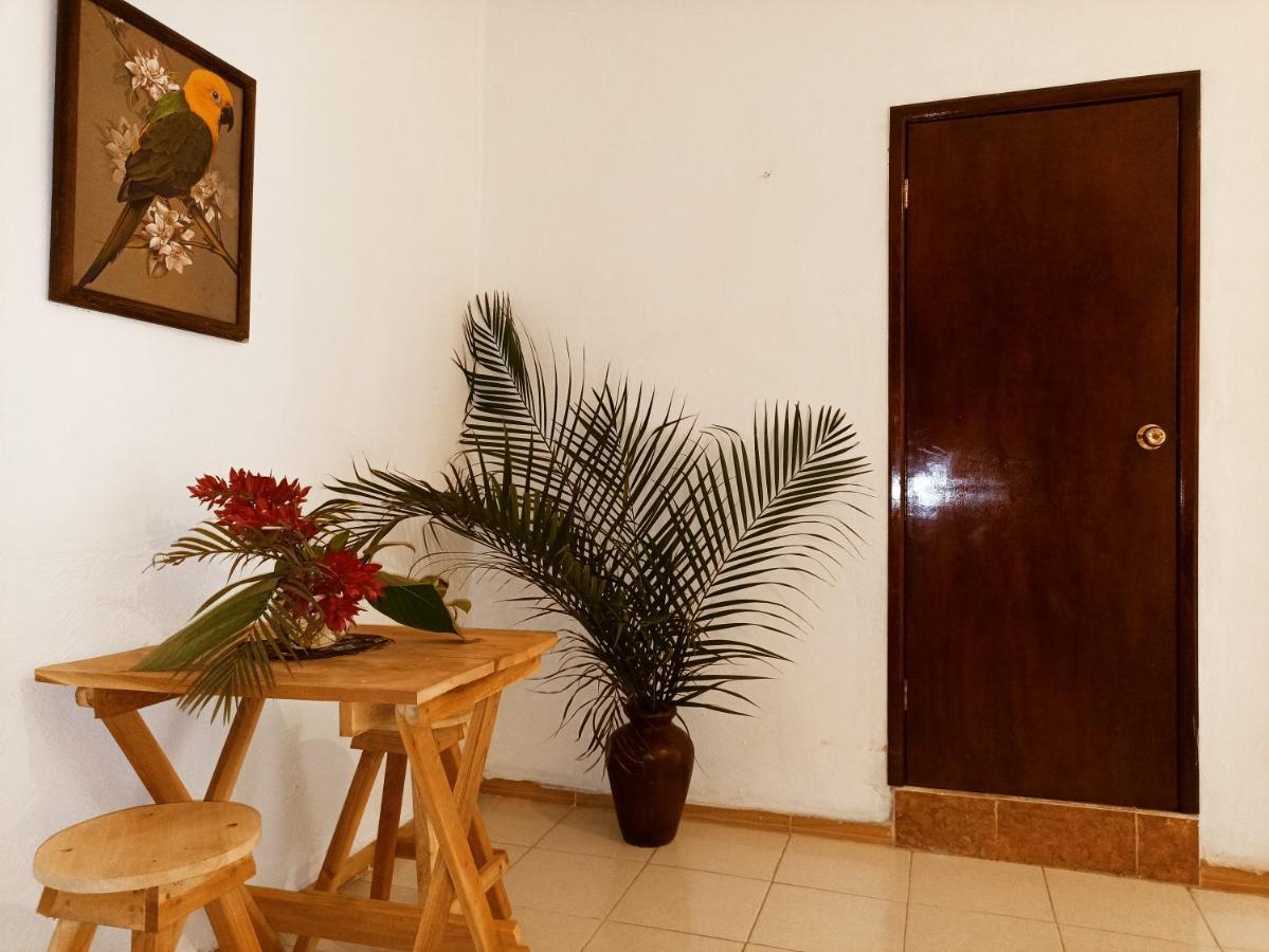 Casa De Los Pajaros - B&B Valladolid  Extérieur photo