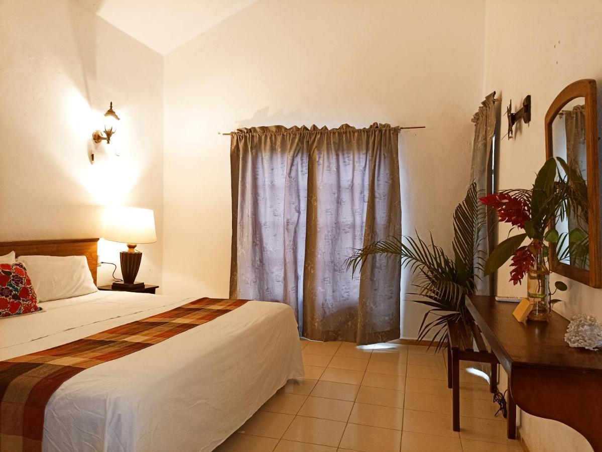 Casa De Los Pajaros - B&B Valladolid  Extérieur photo