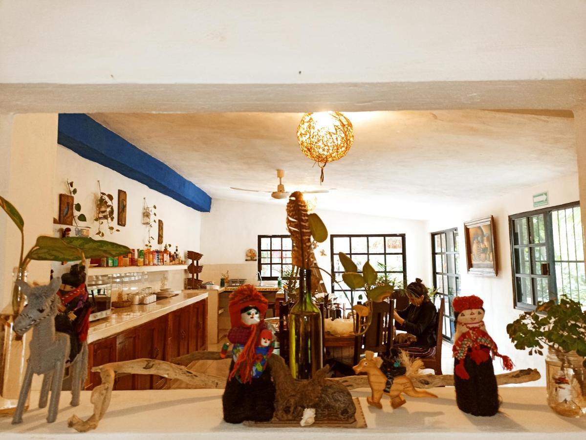 Casa De Los Pajaros - B&B Valladolid  Extérieur photo