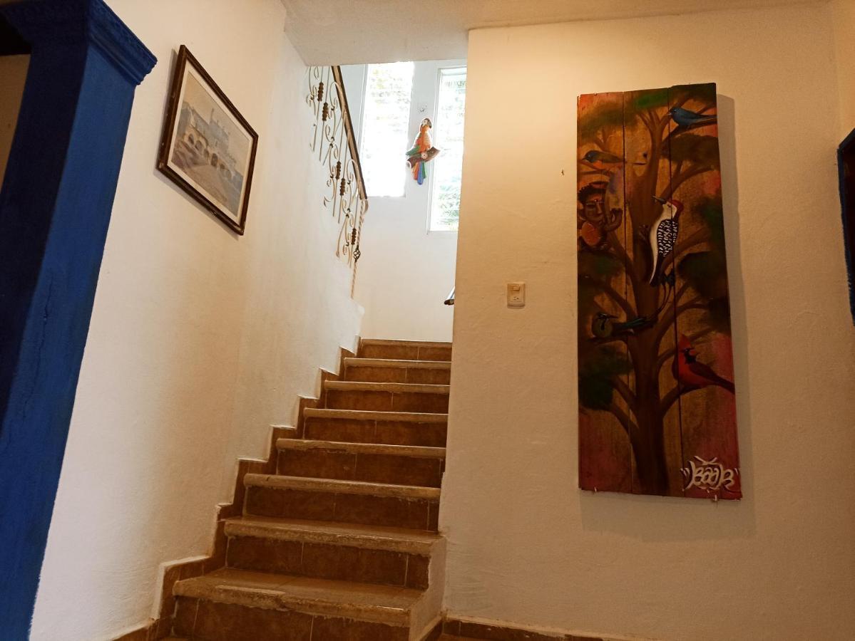 Casa De Los Pajaros - B&B Valladolid  Extérieur photo