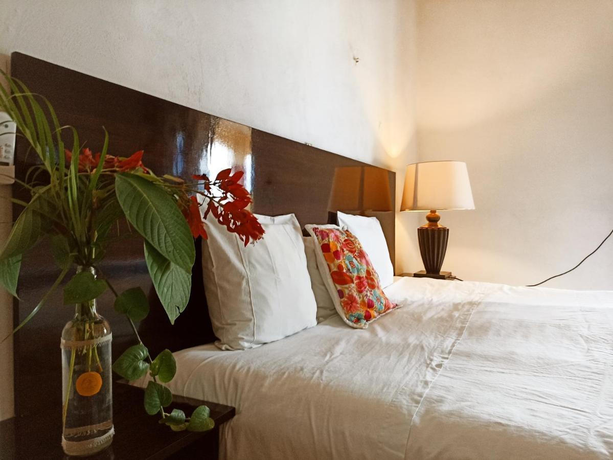 Casa De Los Pajaros - B&B Valladolid  Extérieur photo