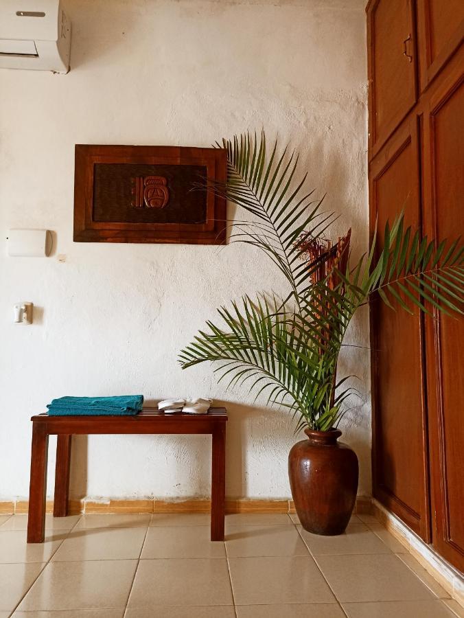 Casa De Los Pajaros - B&B Valladolid  Extérieur photo
