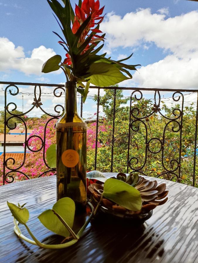 Casa De Los Pajaros - B&B Valladolid  Extérieur photo