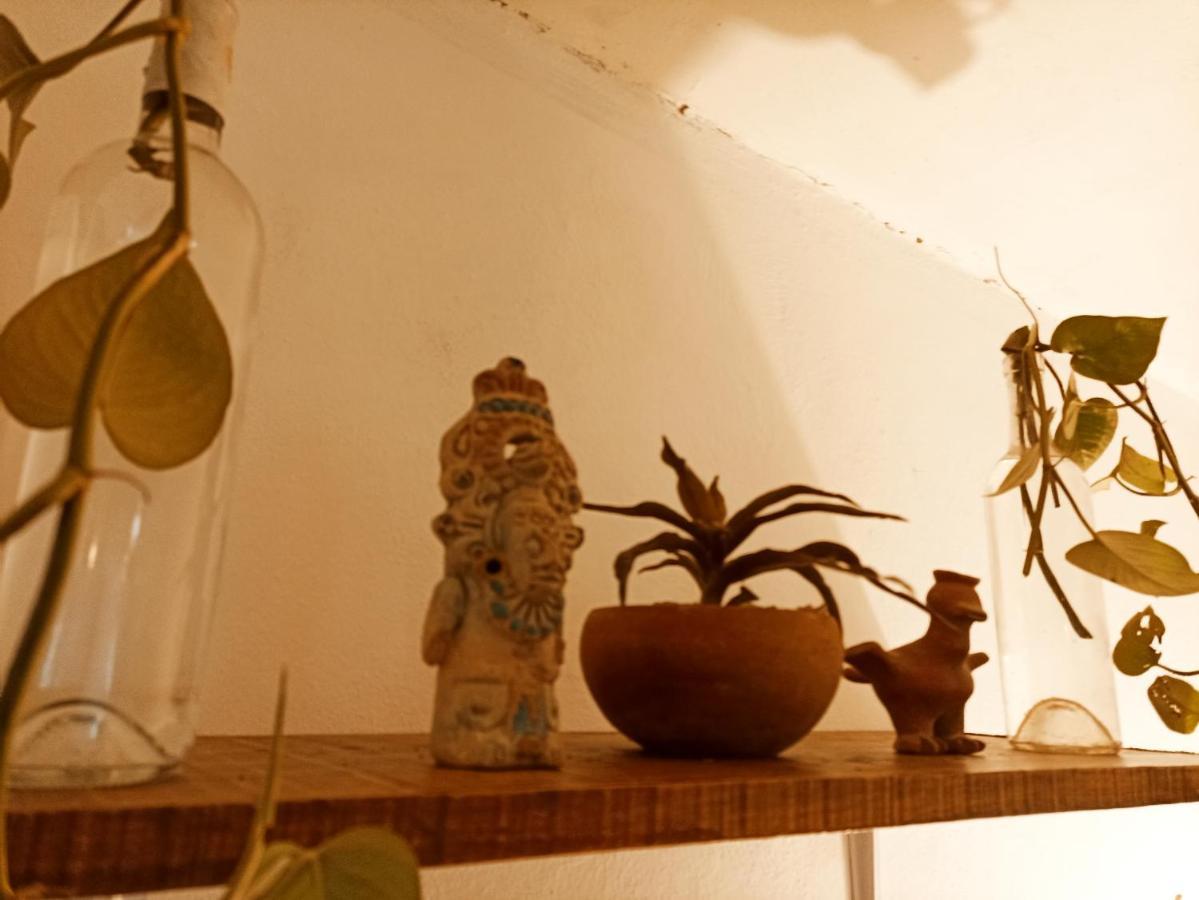 Casa De Los Pajaros - B&B Valladolid  Extérieur photo