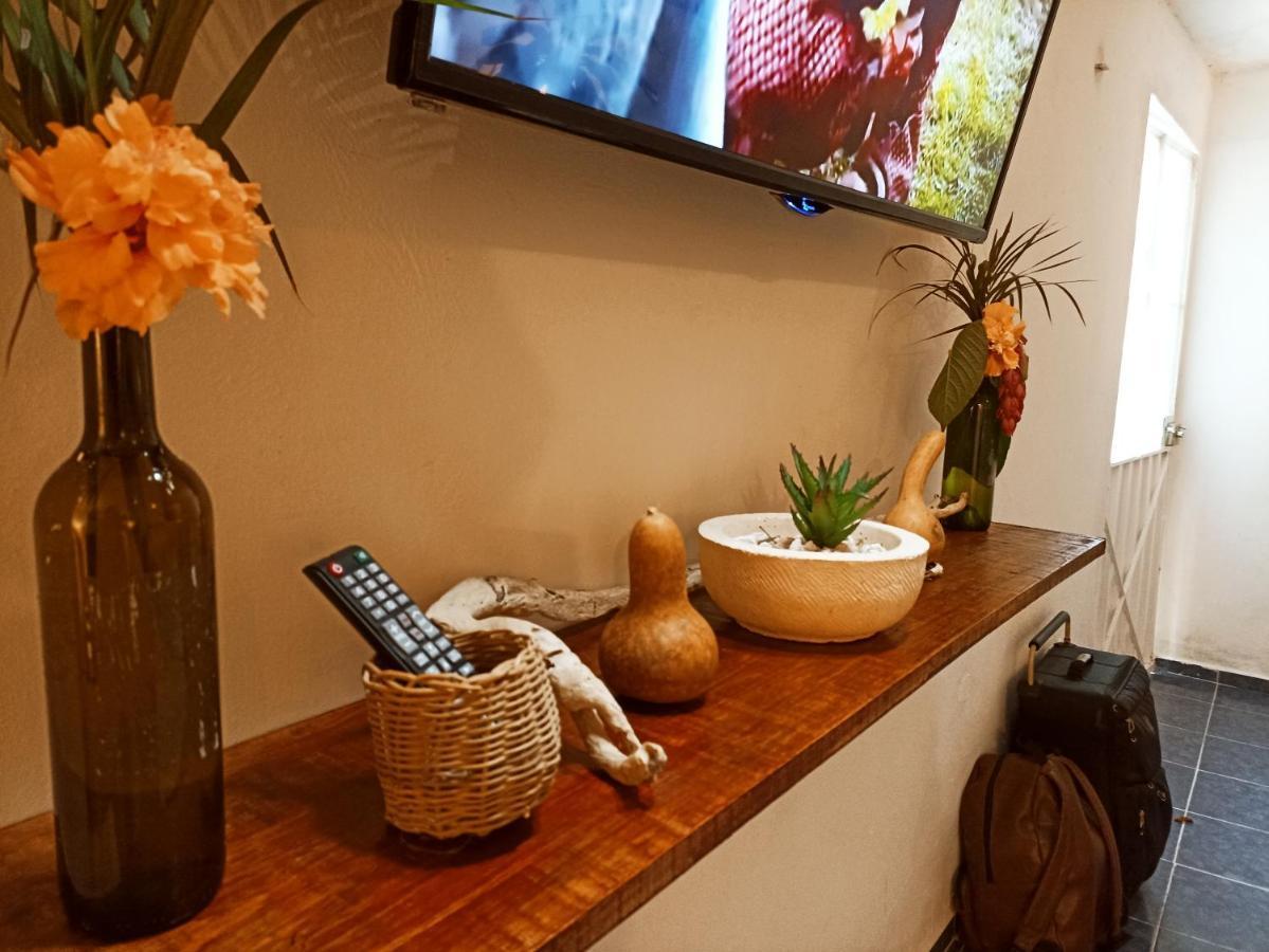 Casa De Los Pajaros - B&B Valladolid  Extérieur photo