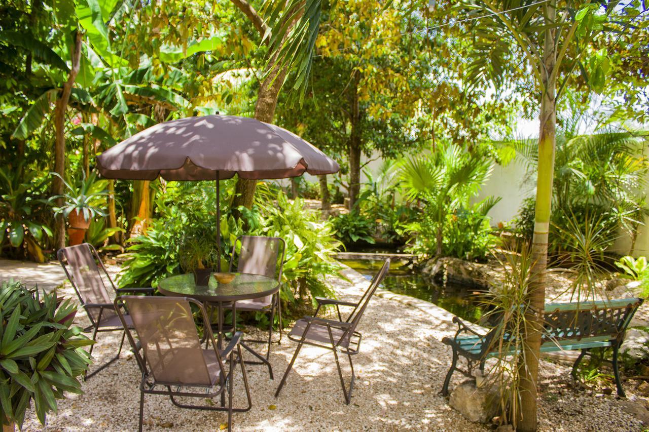 Casa De Los Pajaros - B&B Valladolid  Extérieur photo