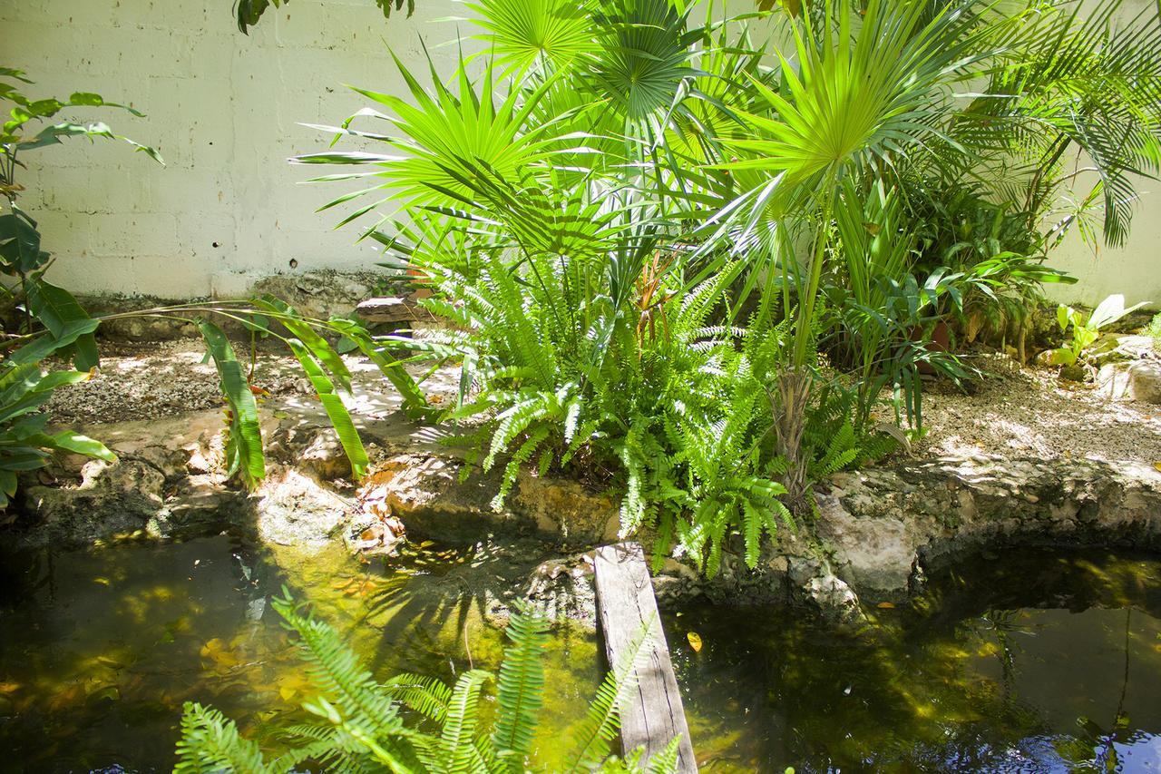 Casa De Los Pajaros - B&B Valladolid  Extérieur photo