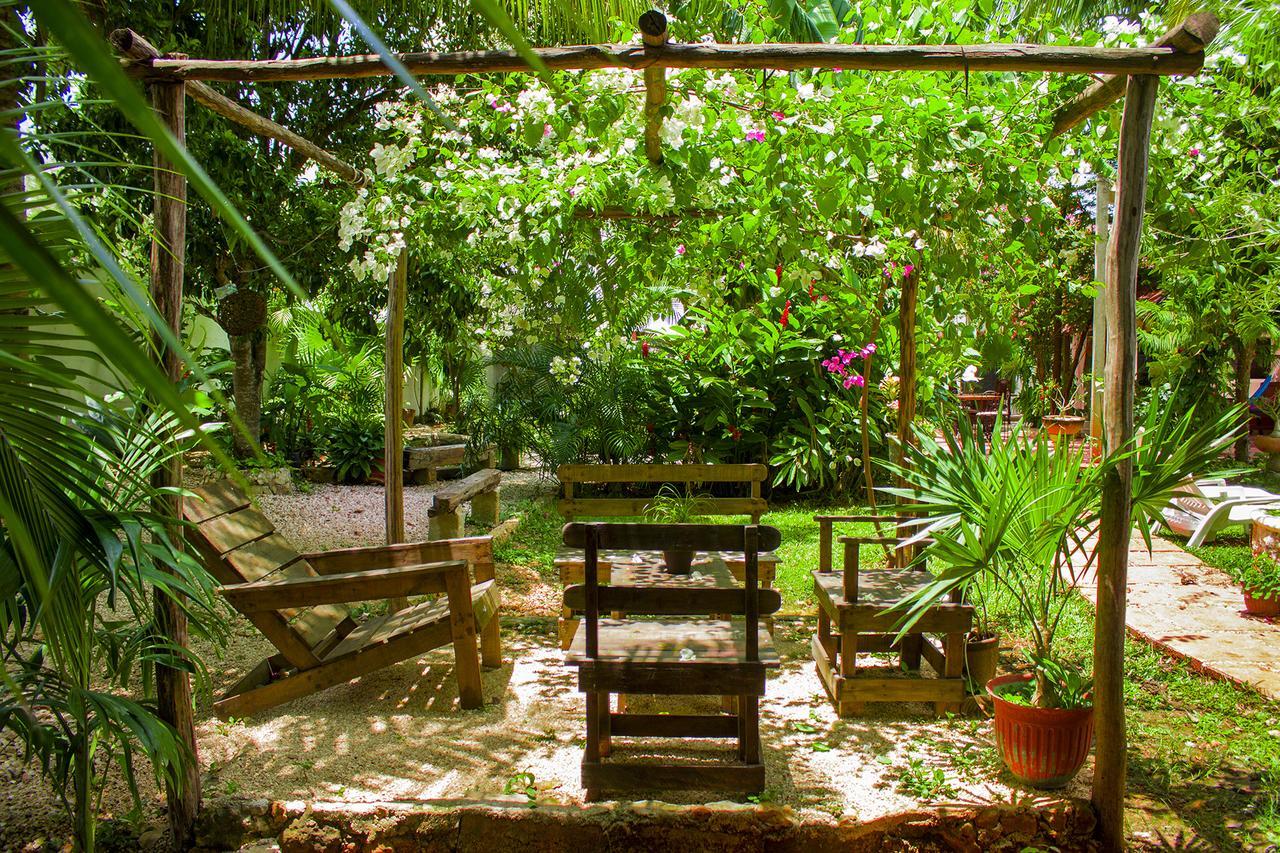 Casa De Los Pajaros - B&B Valladolid  Extérieur photo