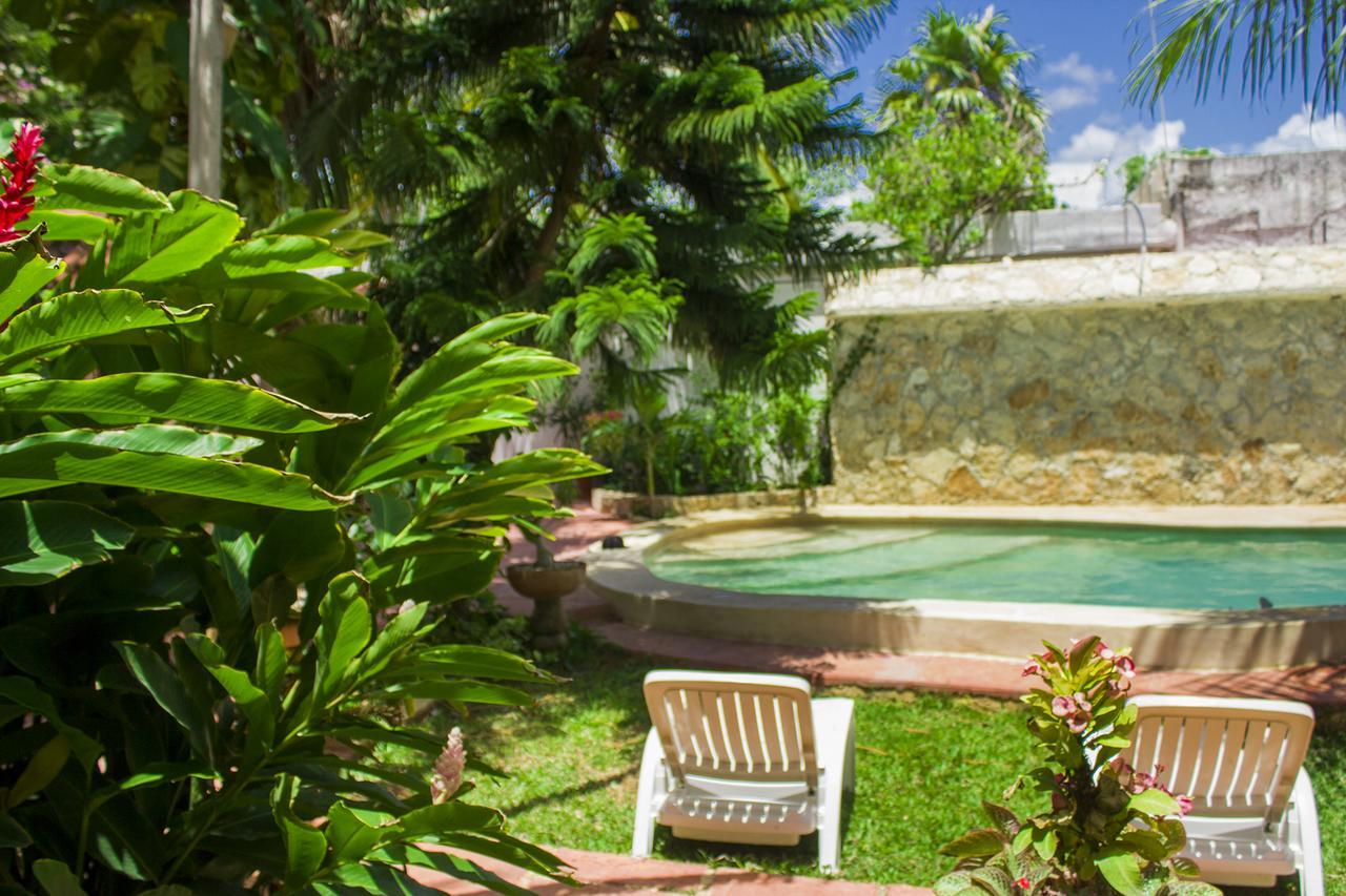 Casa De Los Pajaros - B&B Valladolid  Extérieur photo