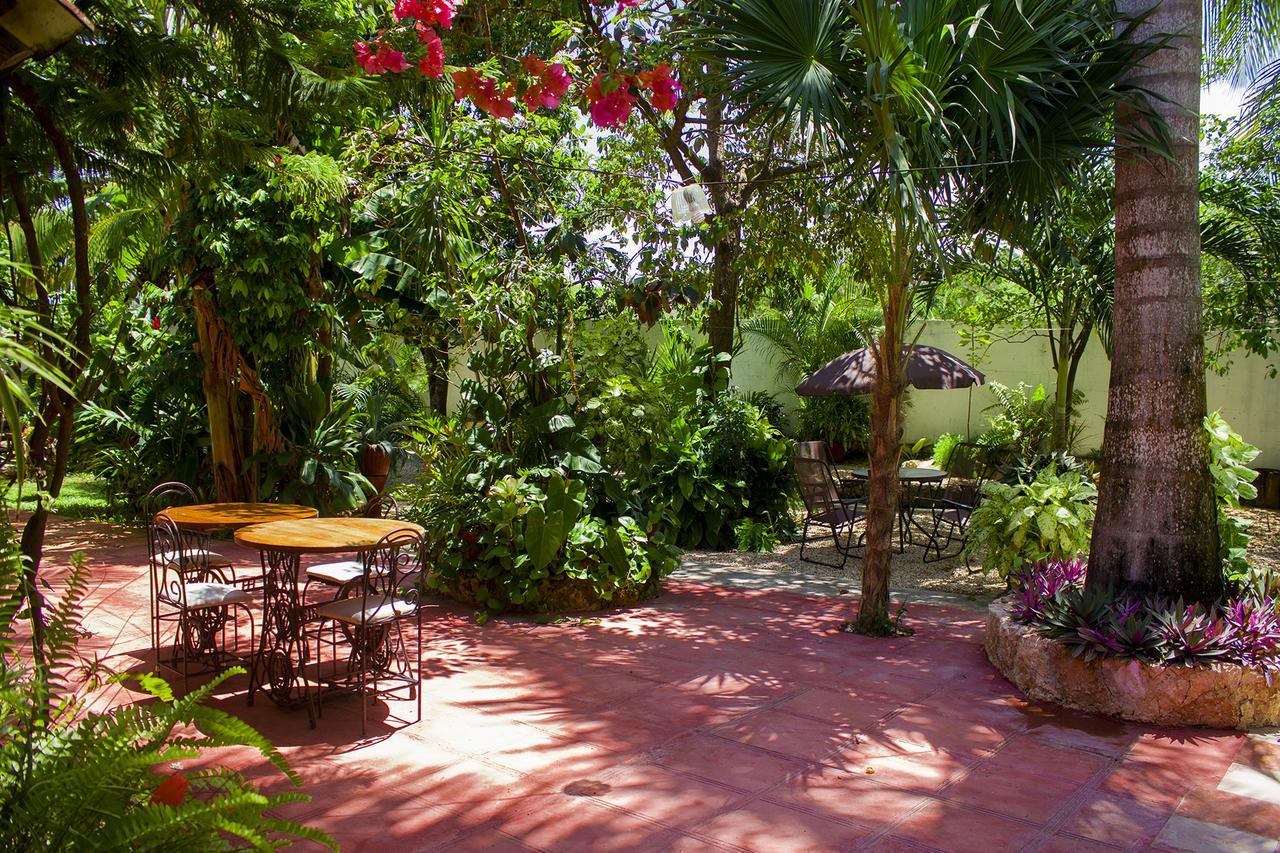 Casa De Los Pajaros - B&B Valladolid  Extérieur photo