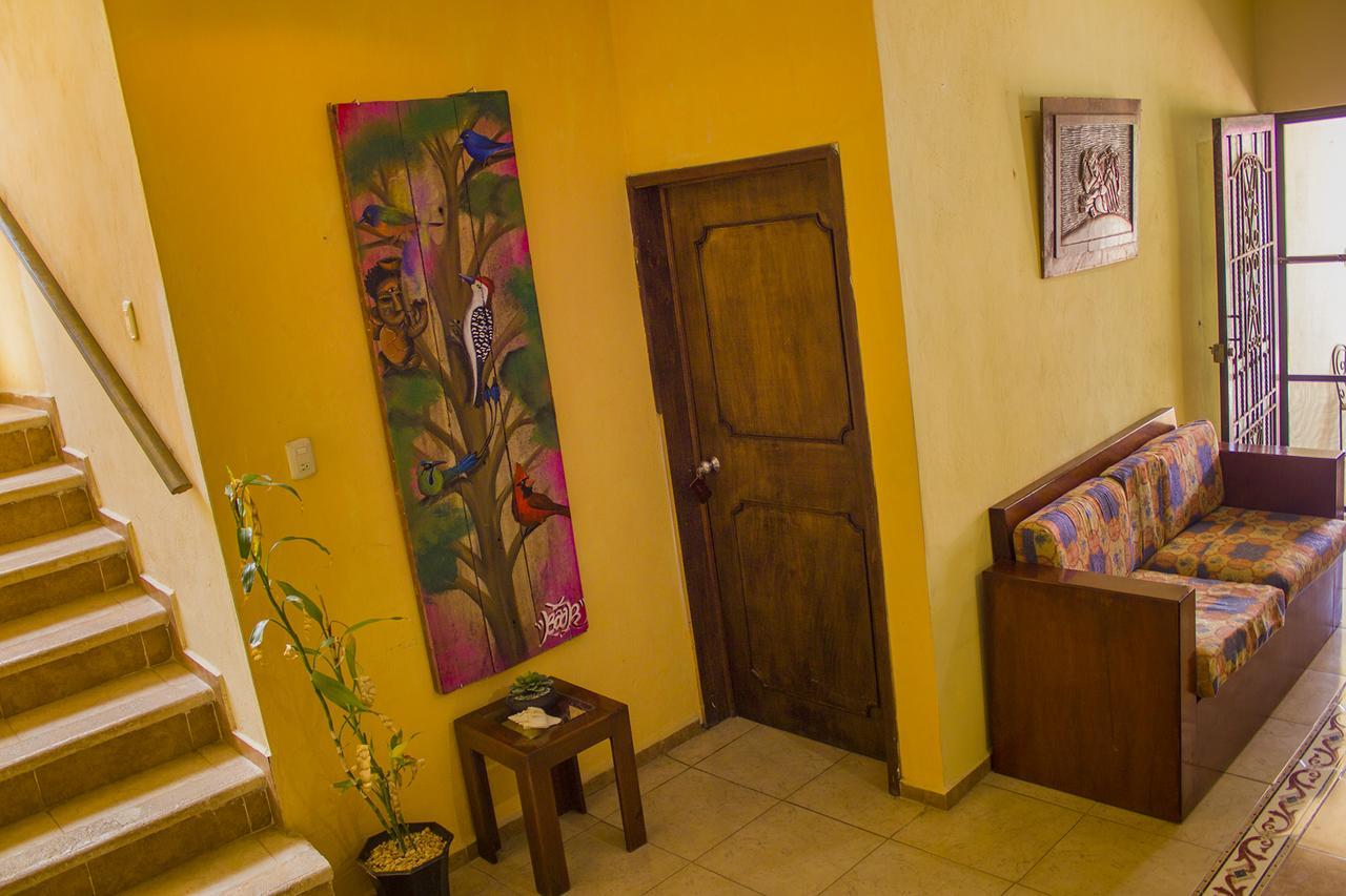 Casa De Los Pajaros - B&B Valladolid  Extérieur photo