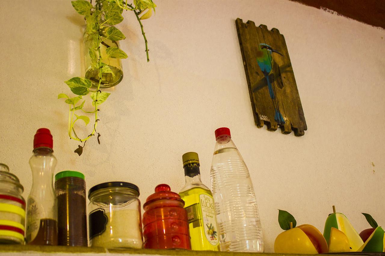 Casa De Los Pajaros - B&B Valladolid  Extérieur photo