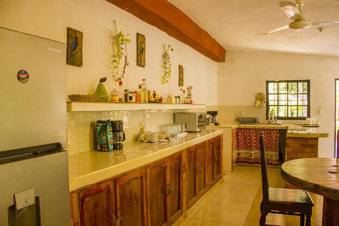 Casa De Los Pajaros - B&B Valladolid  Extérieur photo